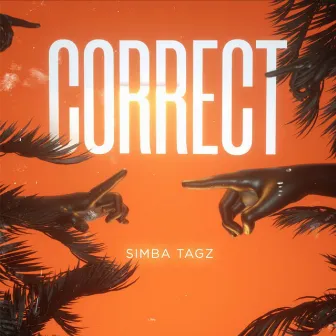 Correct by Simba Tagz