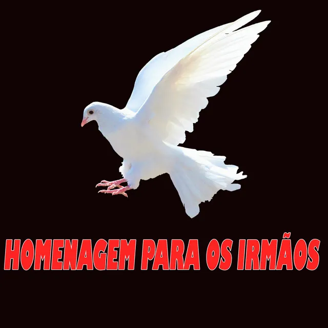 Homenagem para os Irmãos