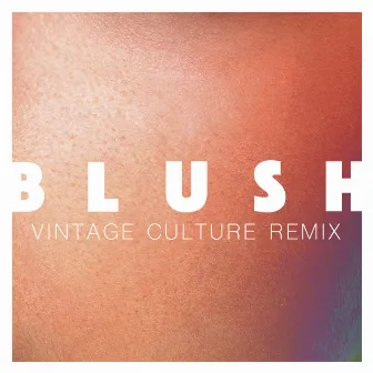 Blush (Vintage Culture Remix) by Elekfantz