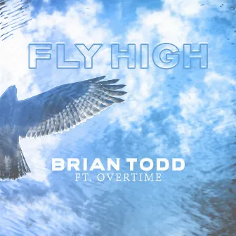 Fly High by Brian Todd