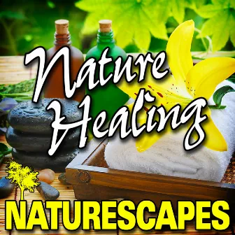 Nature Healing (Nature Sounds) by Naturescape