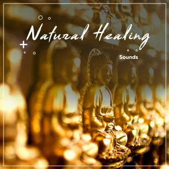 1 Stunde Natural Healing Sounds zur Beruhigung des Geistes by Entspannende SPA Musik Zone