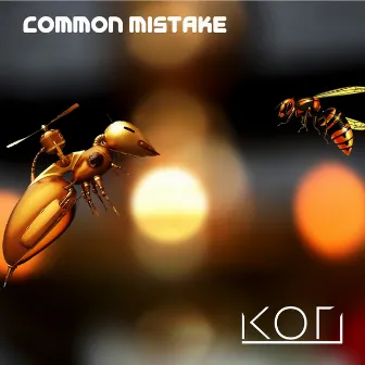 Common Mistake by KORI