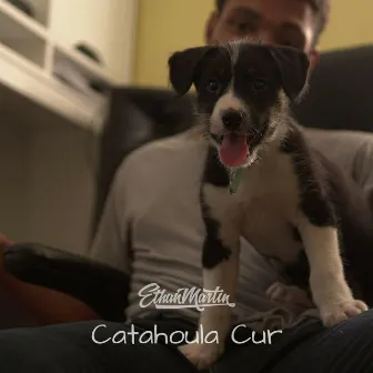 Catahoula Cur (Elevator) by Ethan Martin