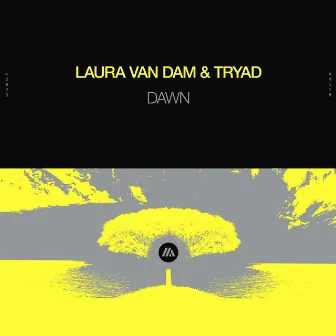 Dawn by TRYAD