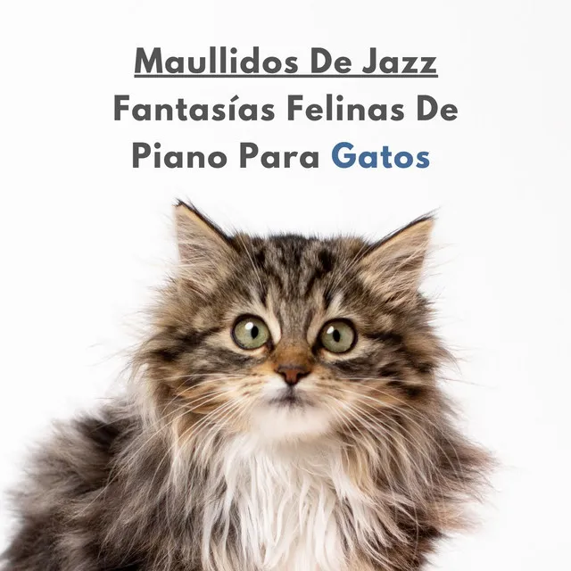 Maullidos De Jazz: Fantasías Felinas De Piano Para Gatos