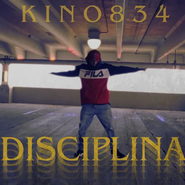 Disciplina