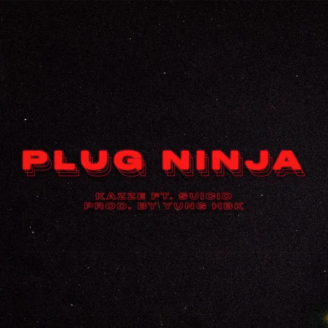 Plug Ninja