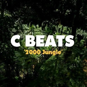 C BEATS. 2000 Jungle by Chakülan