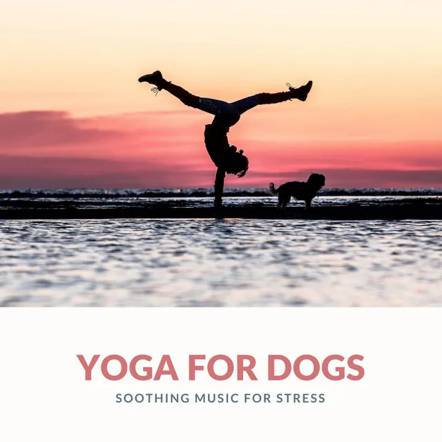 Yoga for Dogs - Soothing Music for Stress