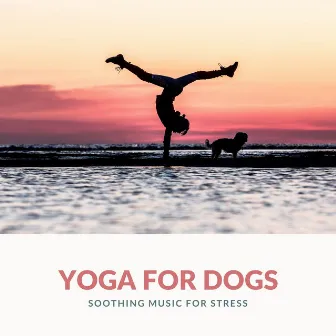 Yoga for Dogs - Soothing Music for Stress by Yoga Mandala