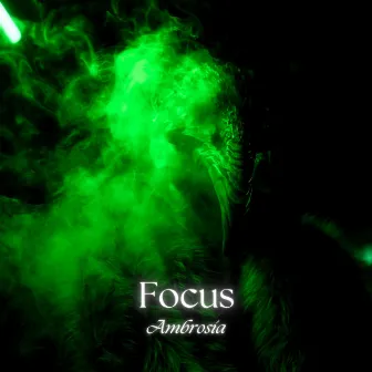 Focus by Ambrosia