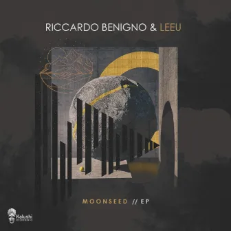 Moonseed EP by Riccardo Benigno