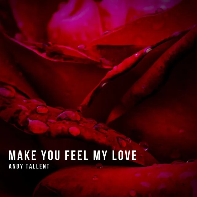 Make You Feel My Love