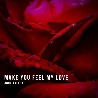 Make You Feel My Love by Andy Tallent