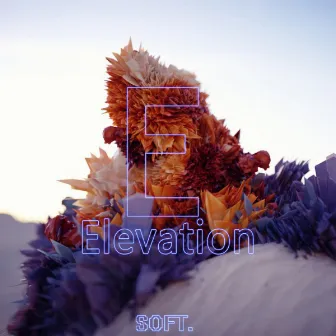 Elevation by Soft