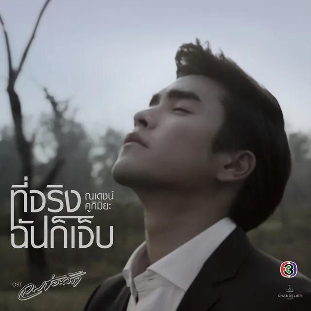 ที่จริงฉันก็เจ็บ - เพลงประกอบละคร ลมซ่อนรัก