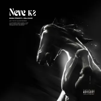 Neve K2 by Xela Baby