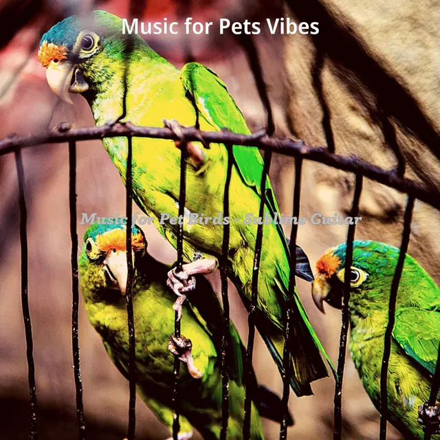 Music for Pets Vibes