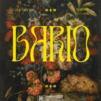 BARIO by THE SCORP