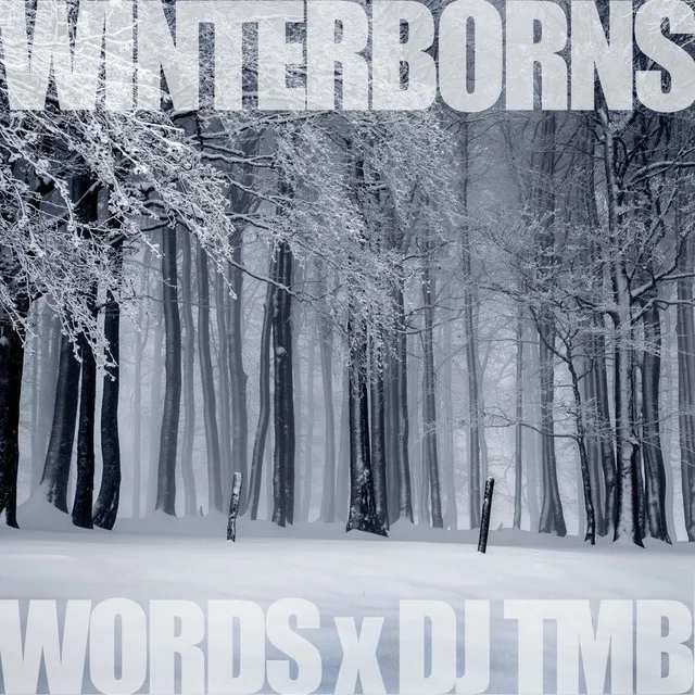 The Winterborns