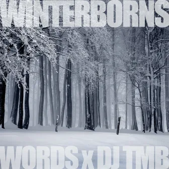 The Winterborns by Words