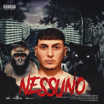 Nessuno by NBK