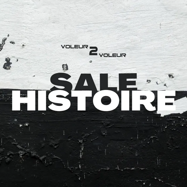 Sale histoire