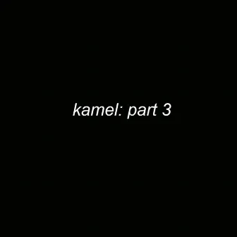 Kamel, Pt. 3 by LS-Dom