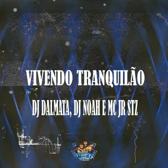 Vivendo Tranquilão by MC JR STZ