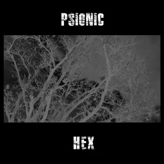 HEX by Psionic