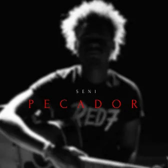 Pecador by Seni