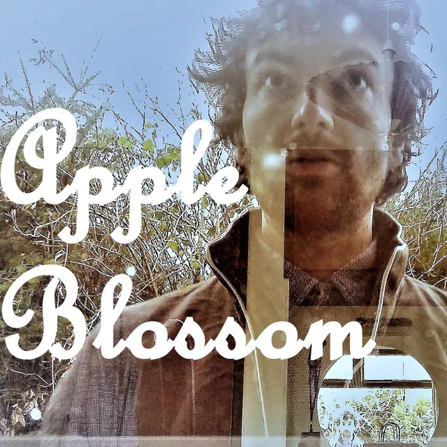 Apple Blossom