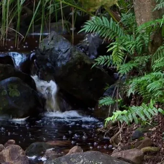 Cascada relajante para dormir by Buenas Noches