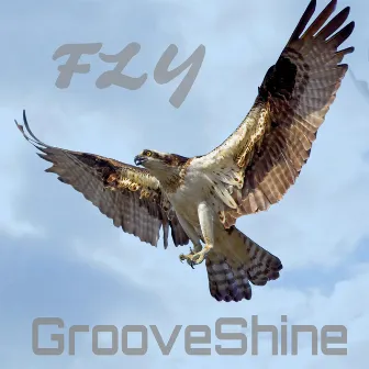 Fly by Grooveshine