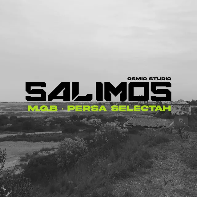 Salimos