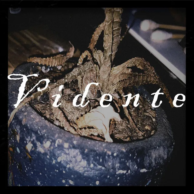 Vidente