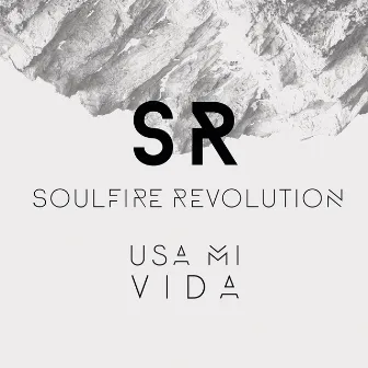 Usa Mi Vida by Soulfire Revolution