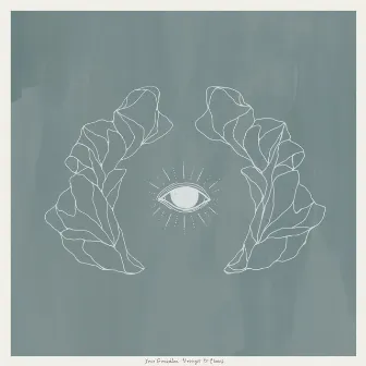 Vestiges & Claws by José González