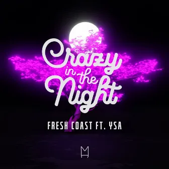 Crazy In The Night by Fresh Coast