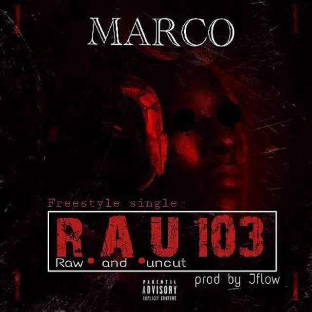 R. A. U 103