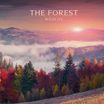 The Forest Wildlife – Nature Sounds, Flute Music For Meditation & Concentration At Sunset by Concentration Music House