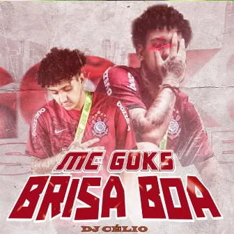 Brisa Boa by MC GOKS