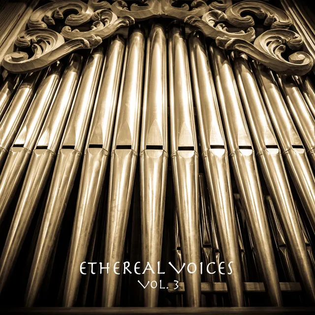 Song of Awakening Meditation - Church Organ Rework