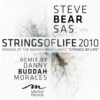 Strings Of Life 2010 by Steve Bear Sas