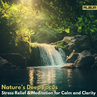 Nature’s Deep Focus - Stress Relief & Meditation for Calm and Clarity by Meditation Music for the Soul