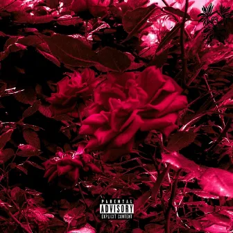 bleed out // roses by envy616