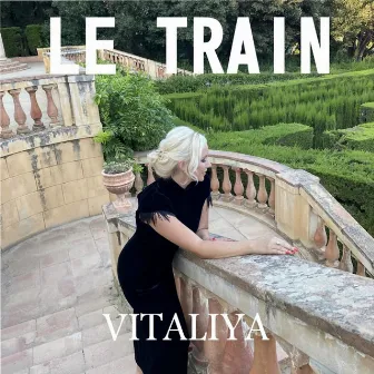 Le Train by VITALIYA