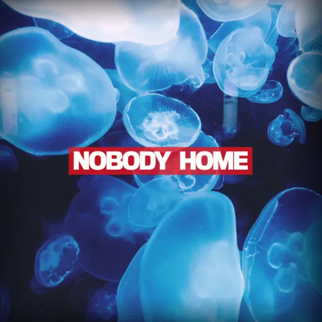 Nobody Home