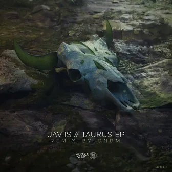 Taurus by Javiis